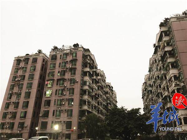 同德围:多年被人忽略 曾被称为"被广州抛弃的地方"