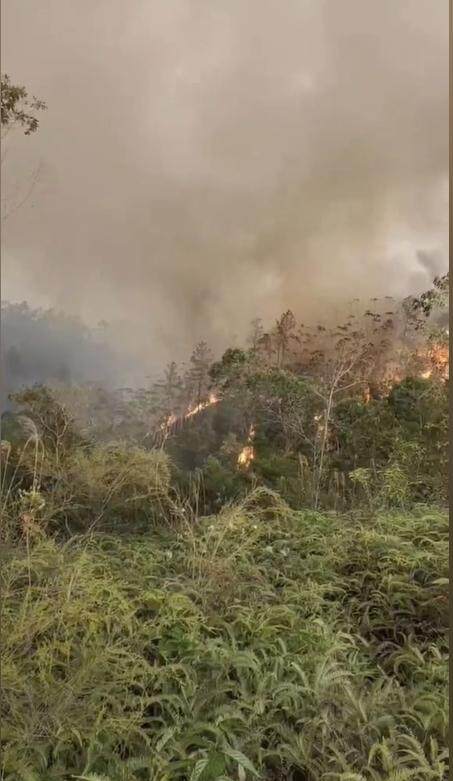 网友发布短视频,称茂名化州出现山火(视频截图) 网友发布短视频,称茂名化州出现山火(视频截图)