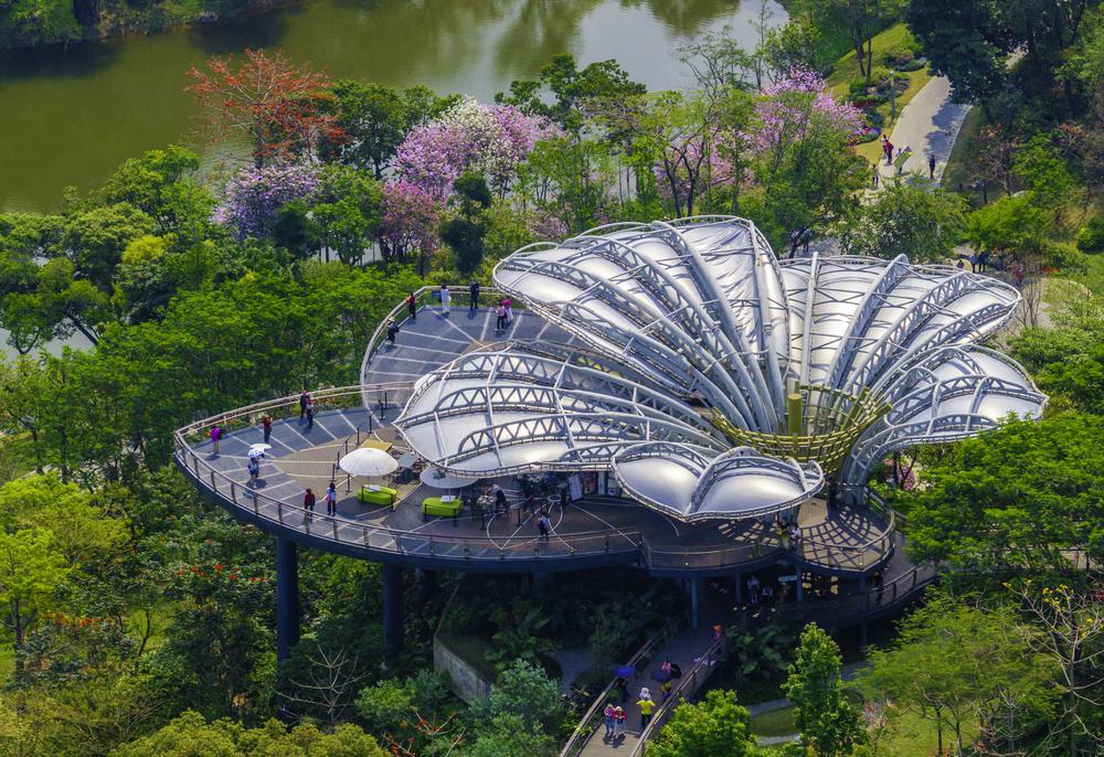 穿行于白云山林冠间的1.5公里空中木棉道 受访单位供图 穿行于白云山林冠间的1.5公里空中木棉道 受访单位供图