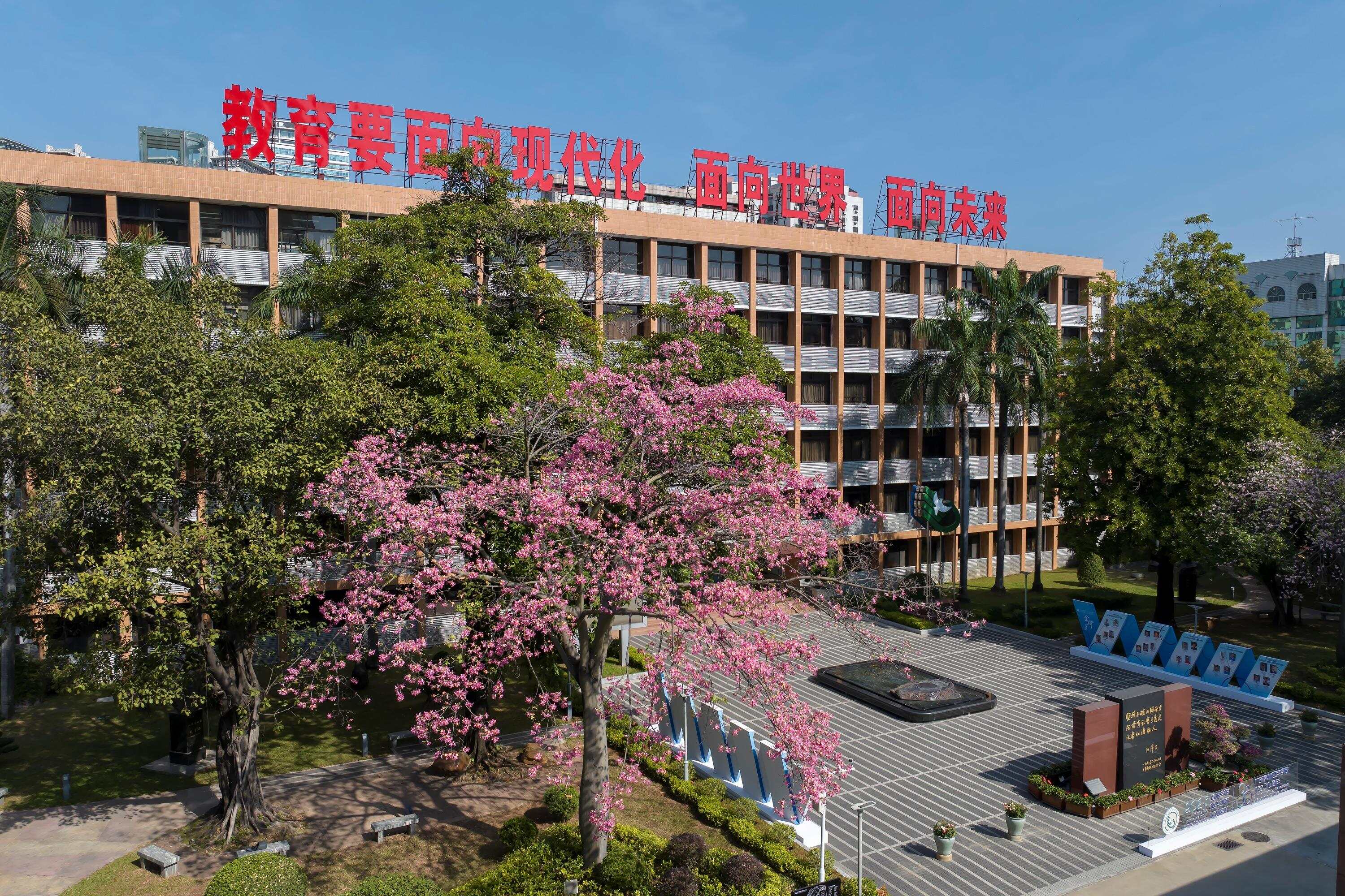 "五级进阶"造就华附教师天团:深化思维课堂既能托底更能造峰