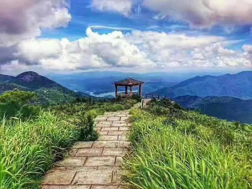 流溪河森林公园 景区供图