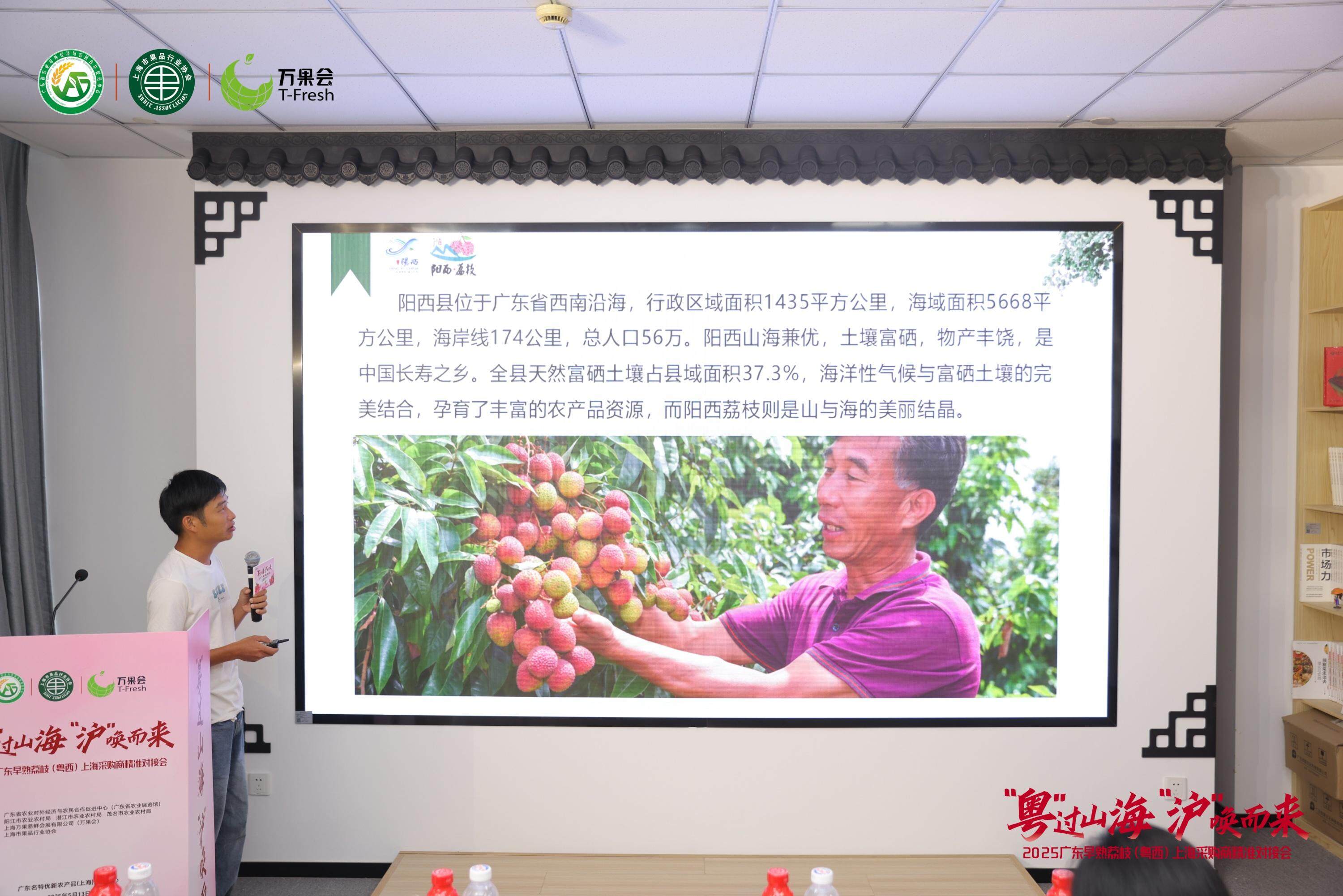相关人员在上海举办的2025广东早熟荔枝上海采购商精准对接会介绍阳西荔枝情况