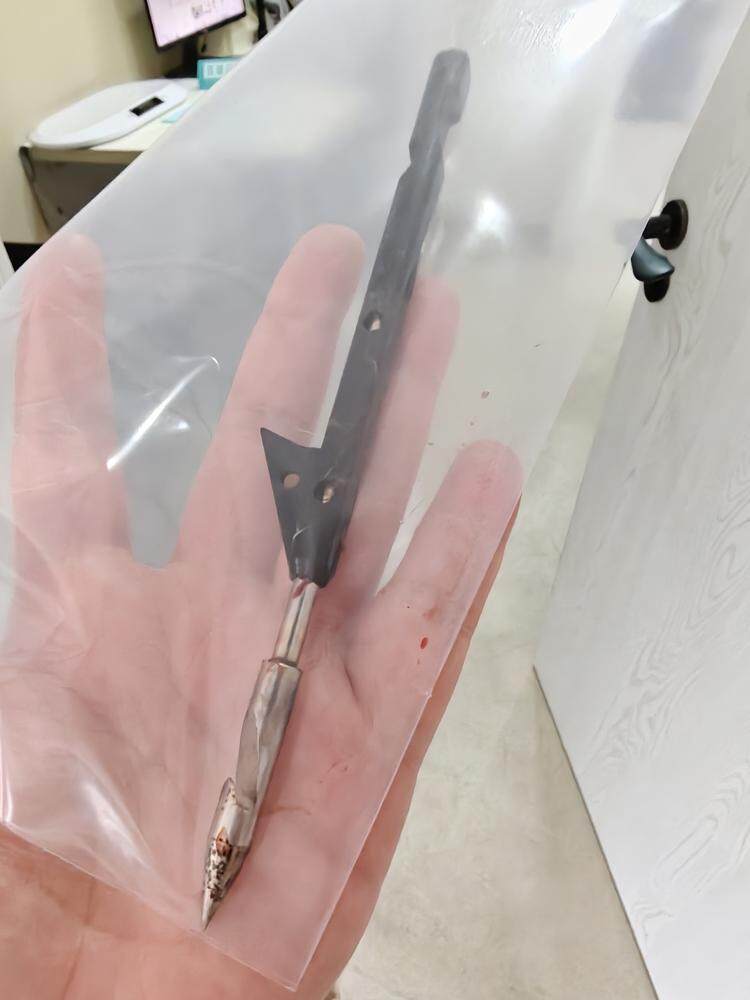 射中猫的金属箭头