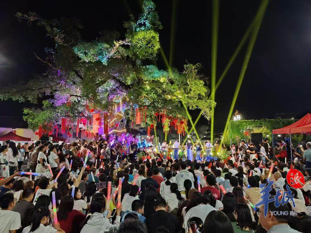 大坪村举办的音乐会 大坪村举办的音乐会