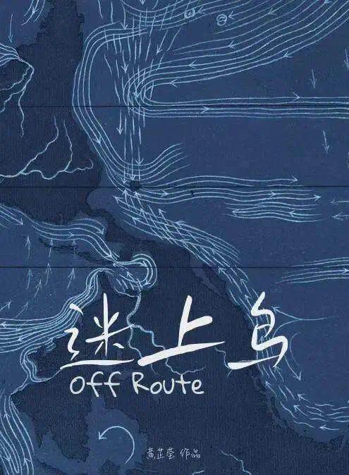  《迷上鸟》概念海报