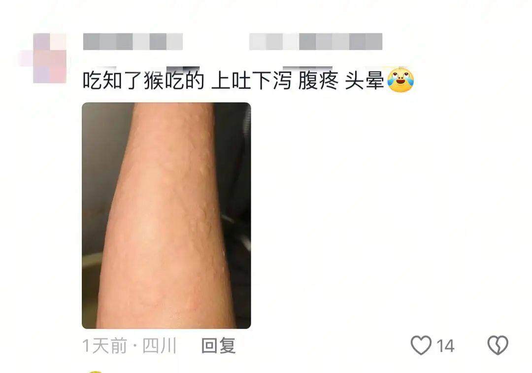 网友分享吃知了猴过敏经历