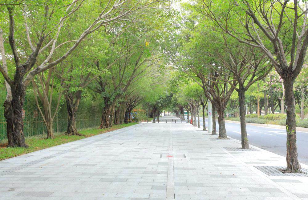  黄村周边环境焕新提升