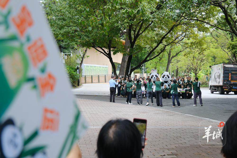 现场不少市民与工作人员一同欢迎新来的大熊猫