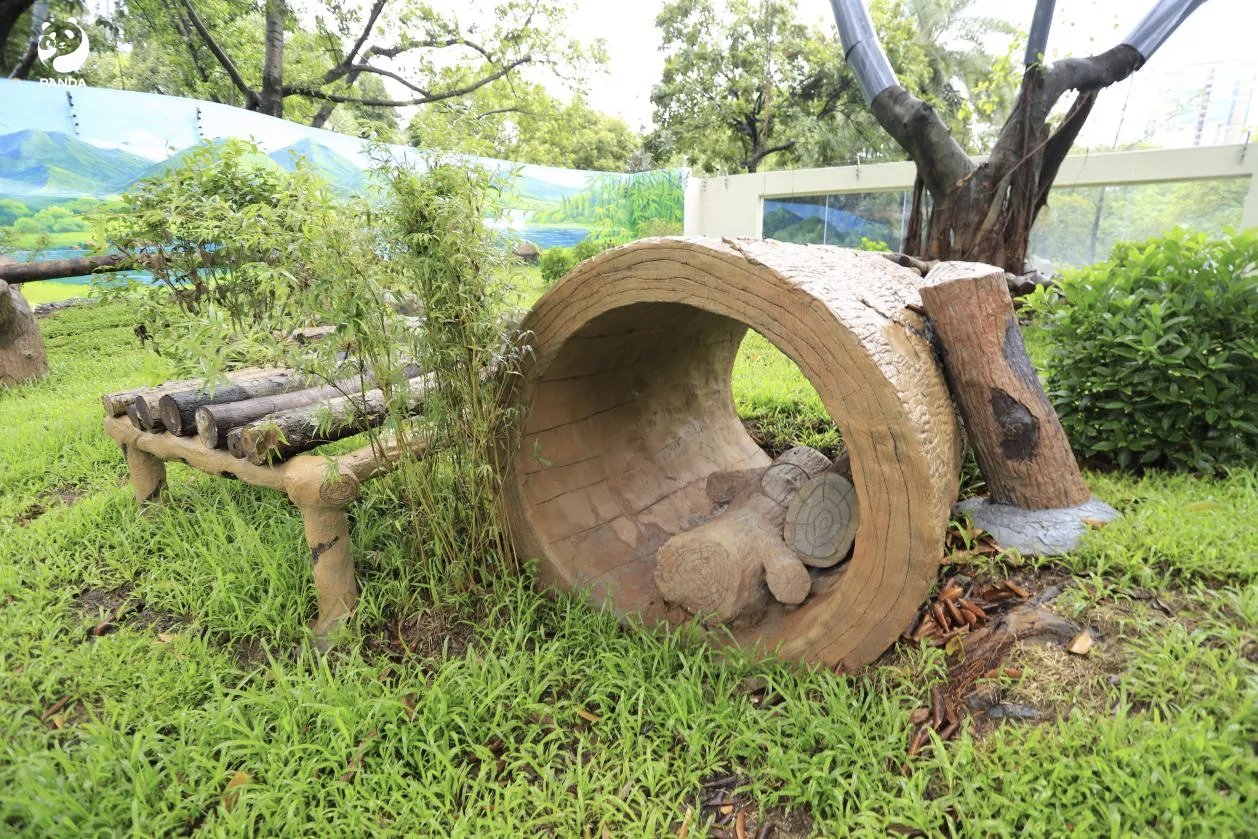 室外运动场 图源：成都大熊猫繁育研究基地微信公众号