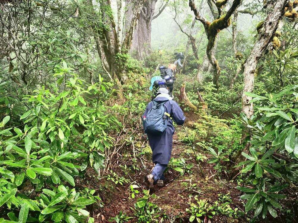 在藏粤直流工程云南段，南方电网超高压公司大理局技术人员深入无人区开展线路踏勘
