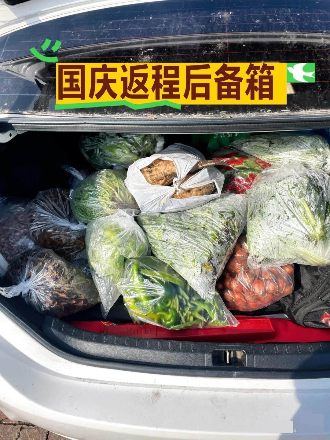 来源：与七同行