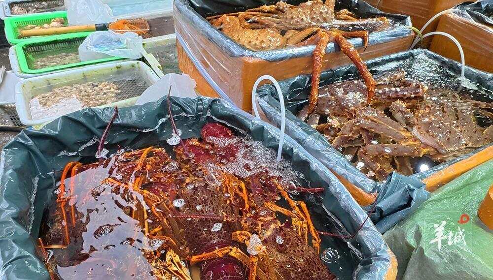  零售档海鲜品种丰富