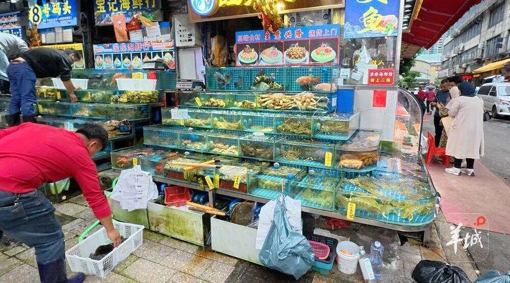  零售档海鲜品种丰富