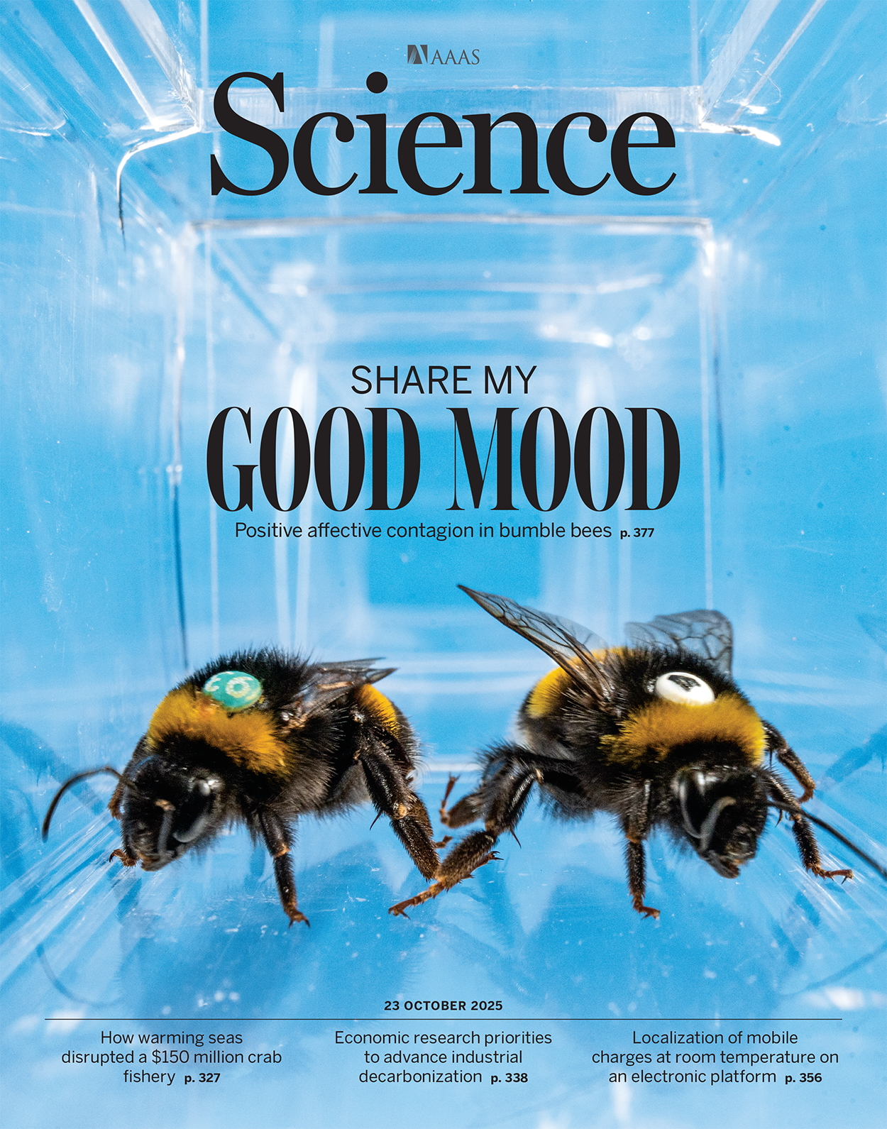  10月24日《Science》封面与论文的题目