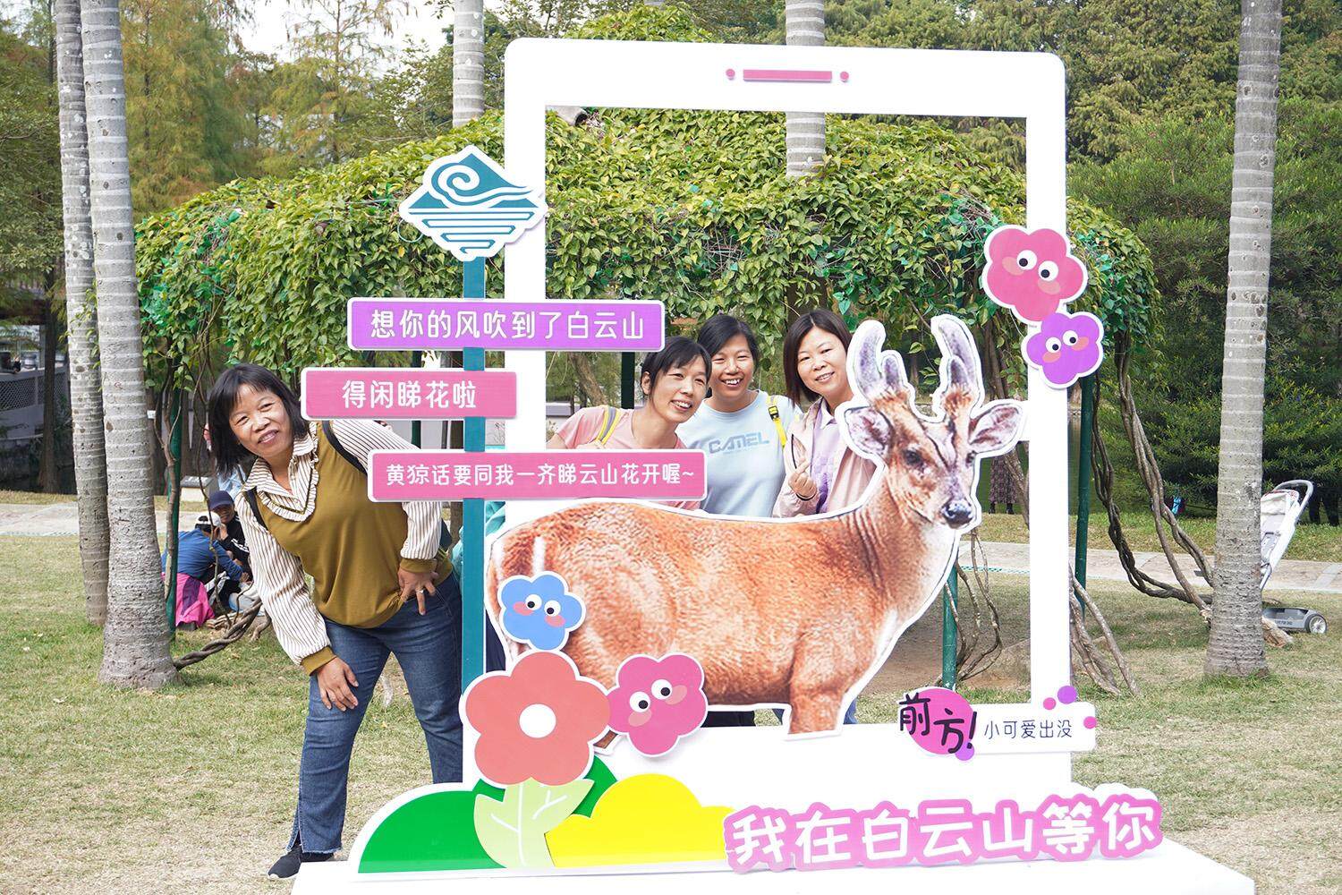  广州白云山打卡点人气旺 马思泳 摄