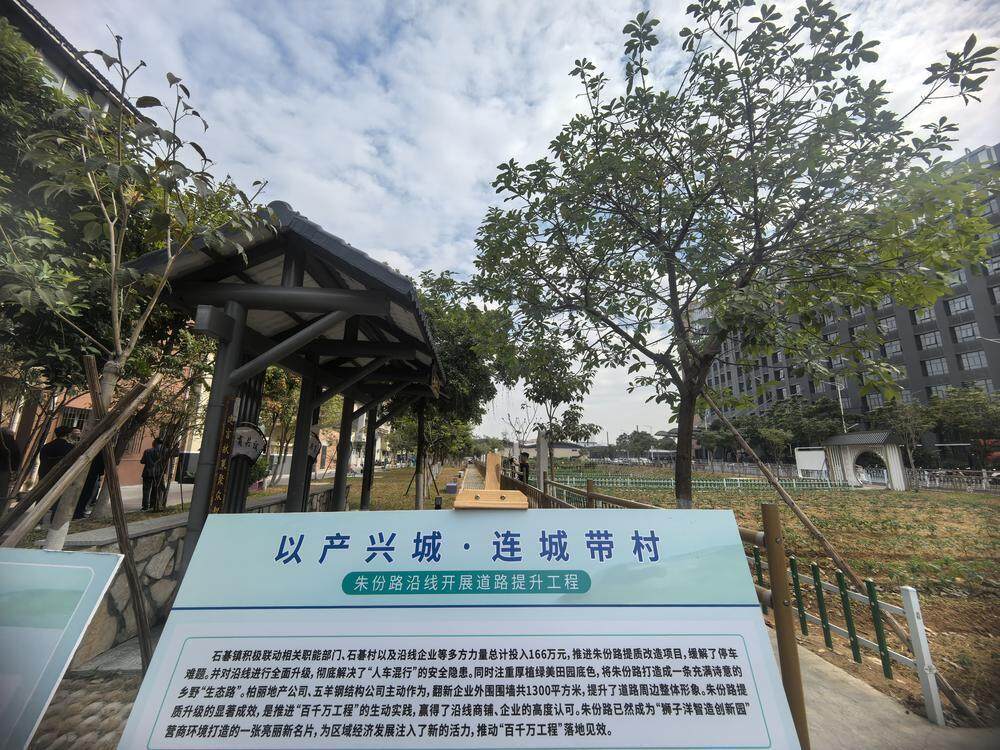 石碁镇的美丽乡村。羊城晚报记者 许悦 摄