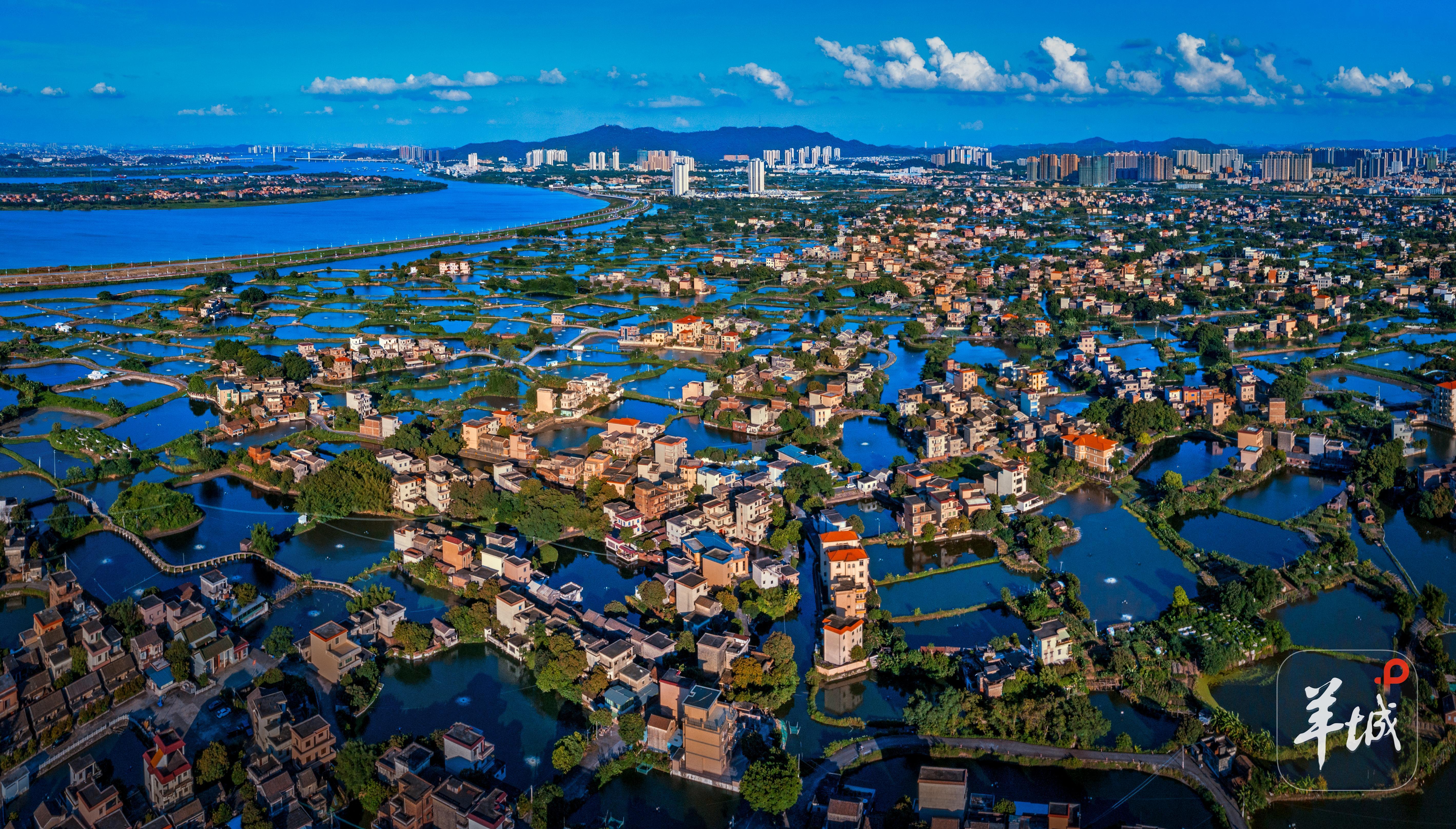 江门鹤山市古劳水乡如镶嵌在蓝天碧水间的明珠 欧蕊荣 摄