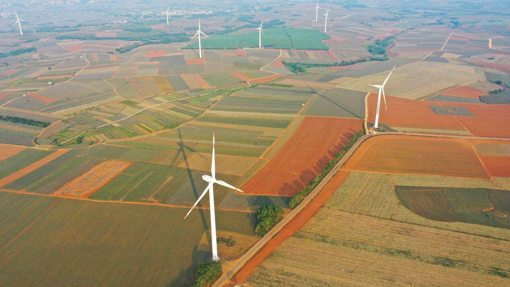 徐闻“菠萝的海”。羊城晚报记者 林桂炎 梁喻 摄（资料图）