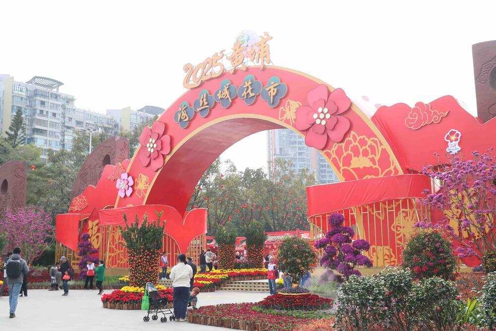 黄埔海丝城花市资料图。通讯员 李剑锋 摄
