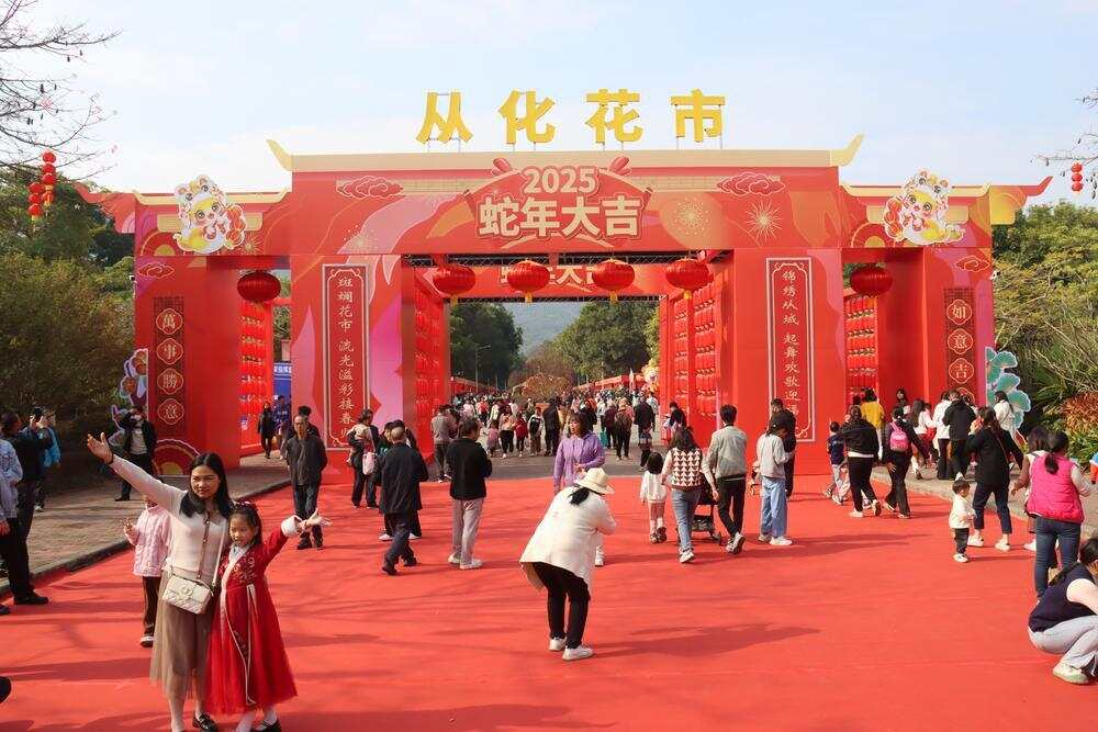 从化迎春花市资料图。通讯员 李晓彤 摄