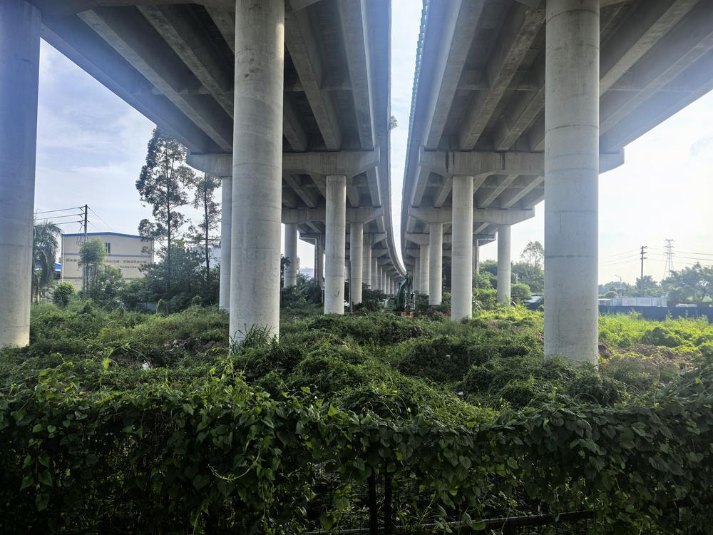 原先的桥底杂草丛生，也无照明设施