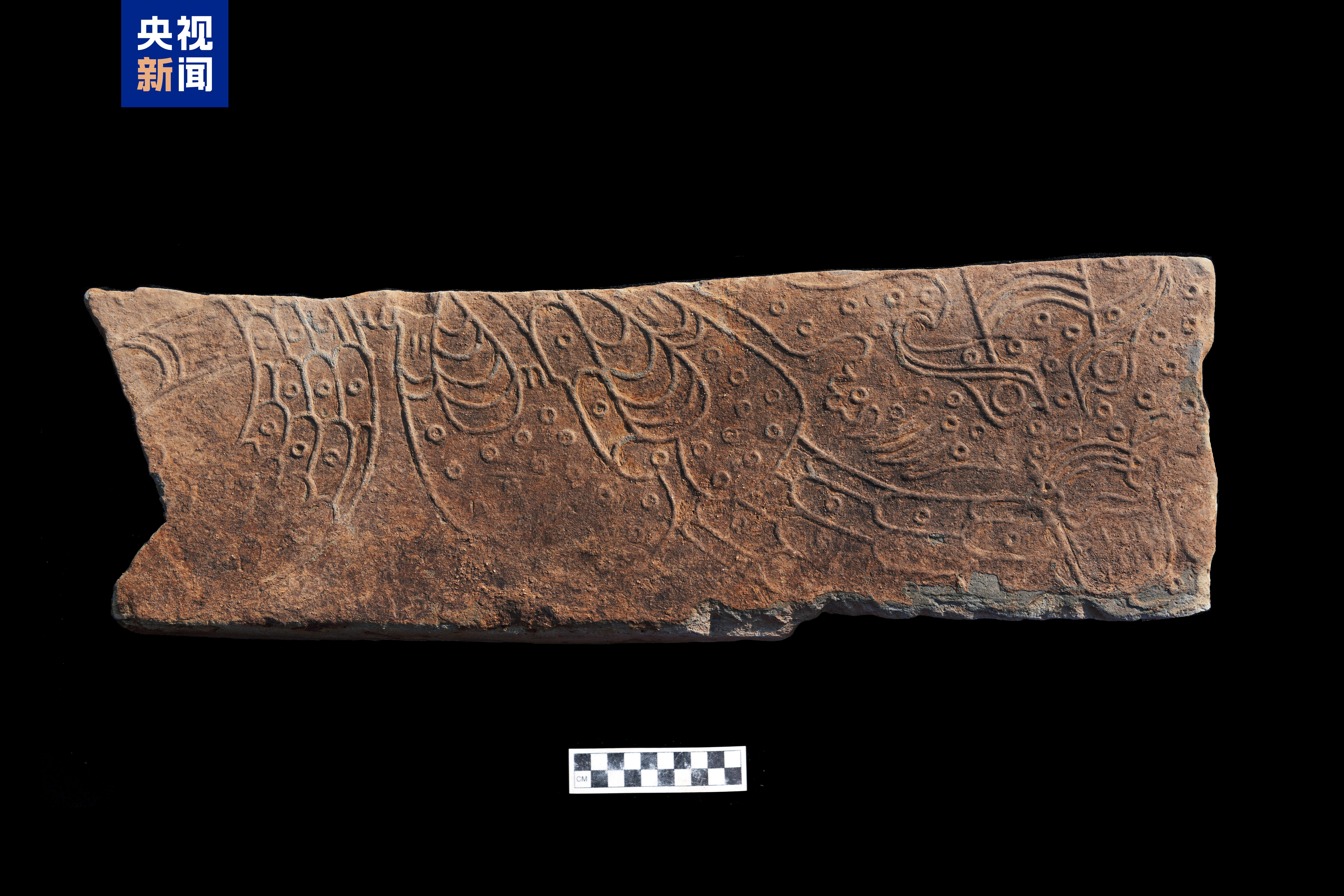 △山东青岛琅琊台遗址山顶建筑基址龙纹踏步空心砖局部