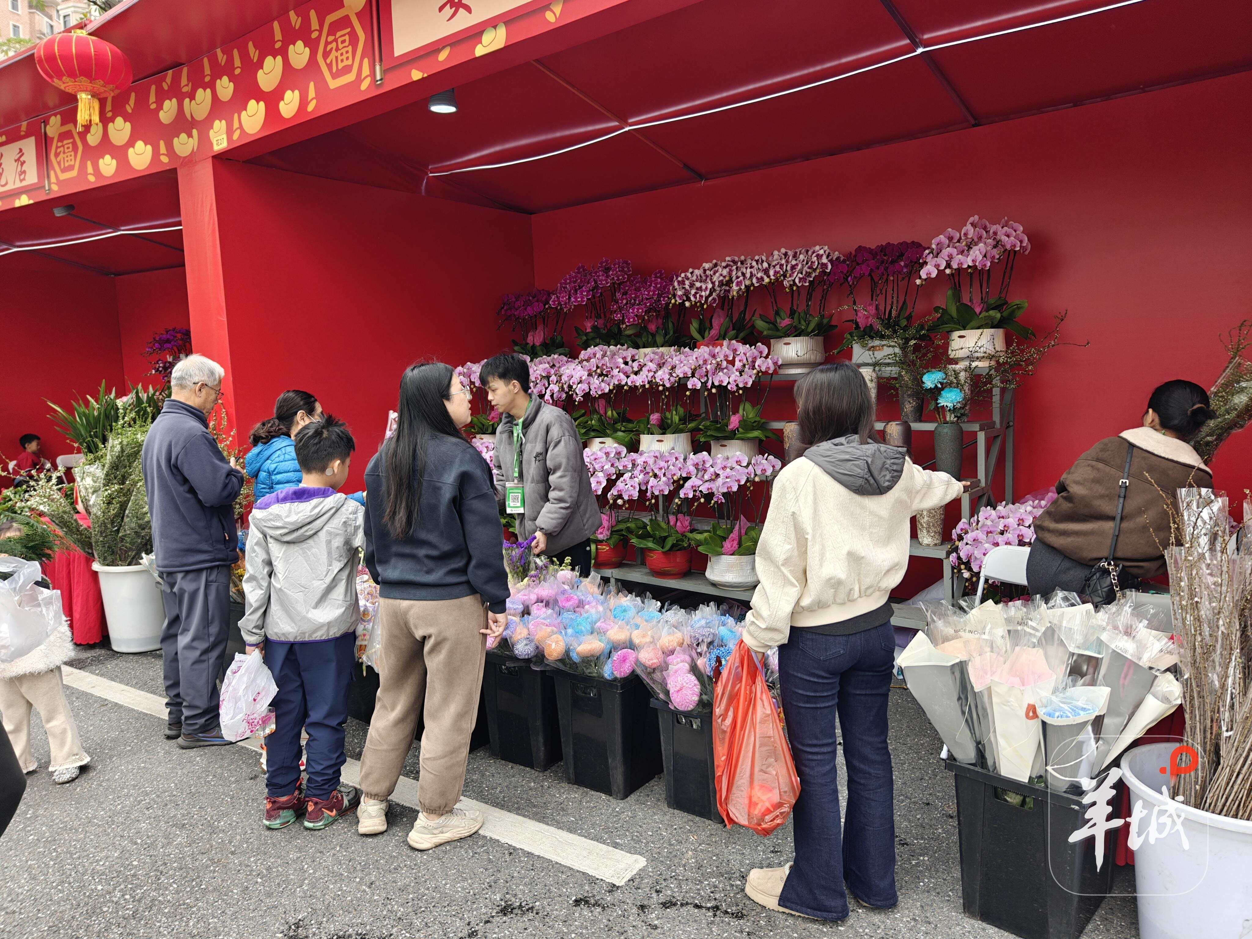 市民正在选购年花
