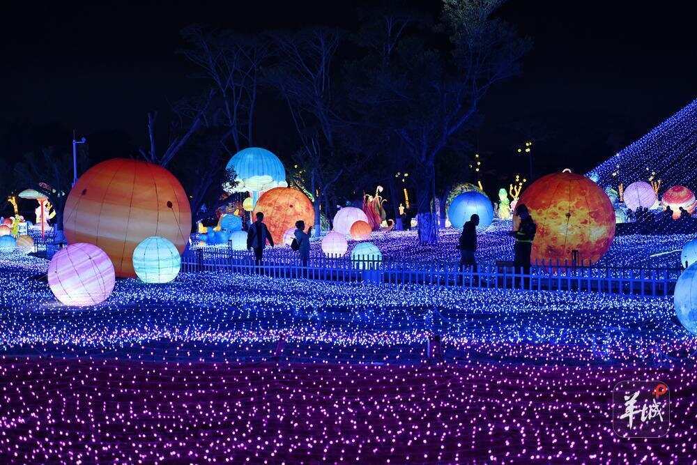 特色花灯 特色花灯