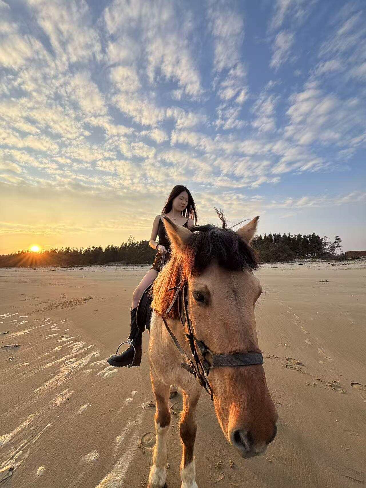 爱马骑士海骑营地
