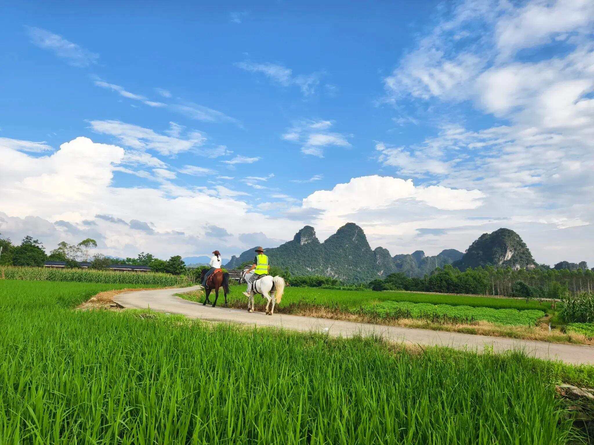  英西峰林茶马驿道 网络图片