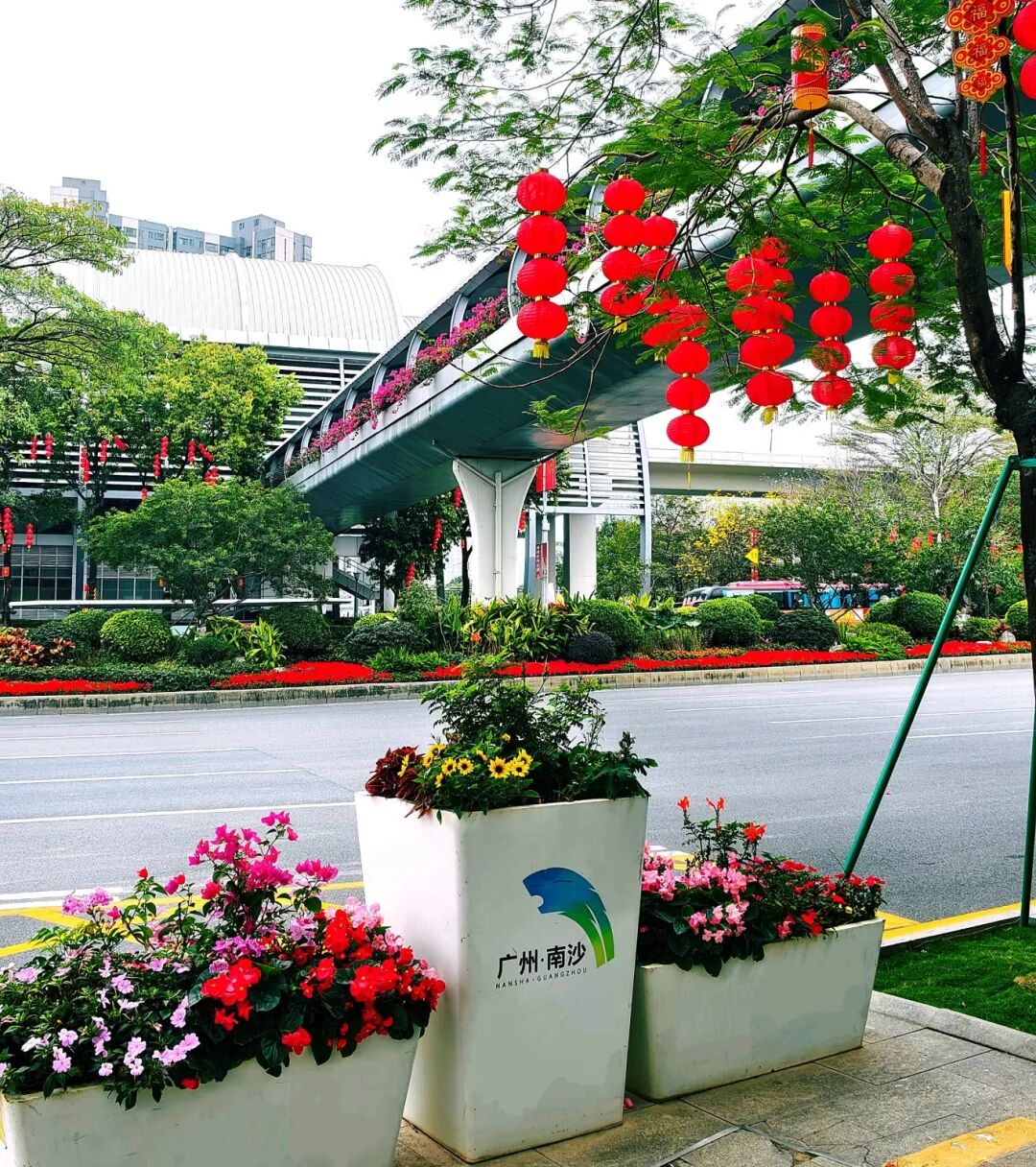 凤凰大道街景 凤凰大道街景