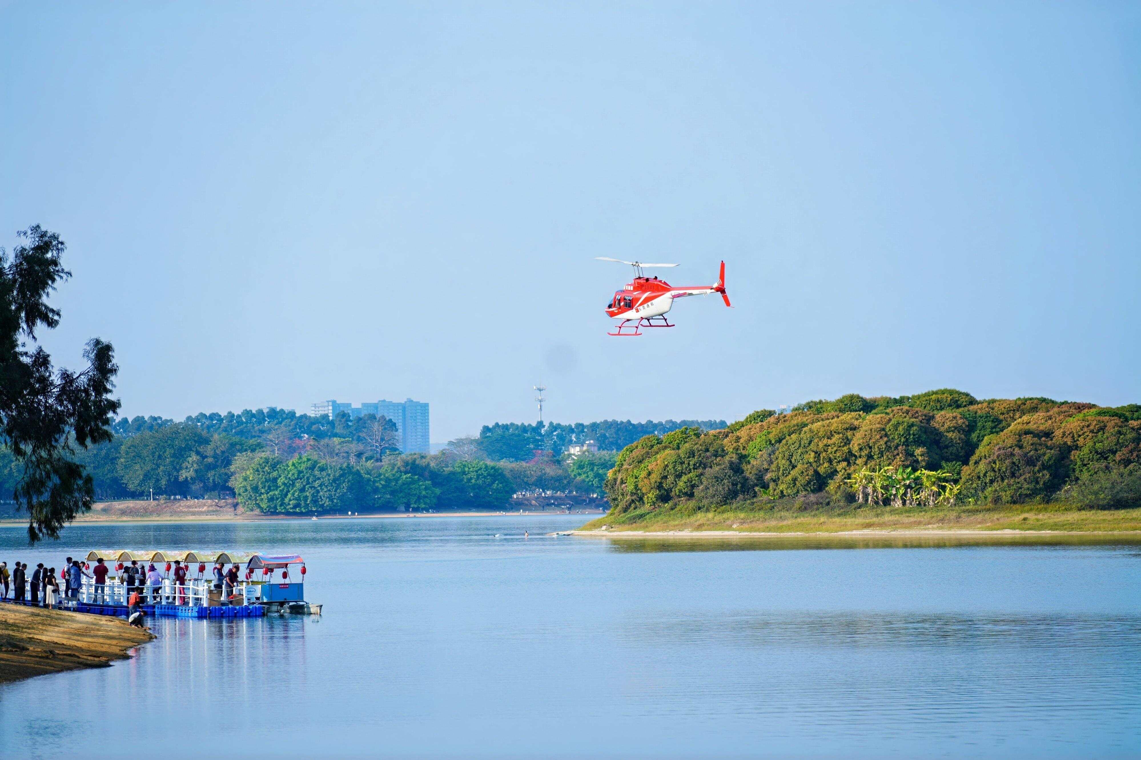 云端看花 云端看花