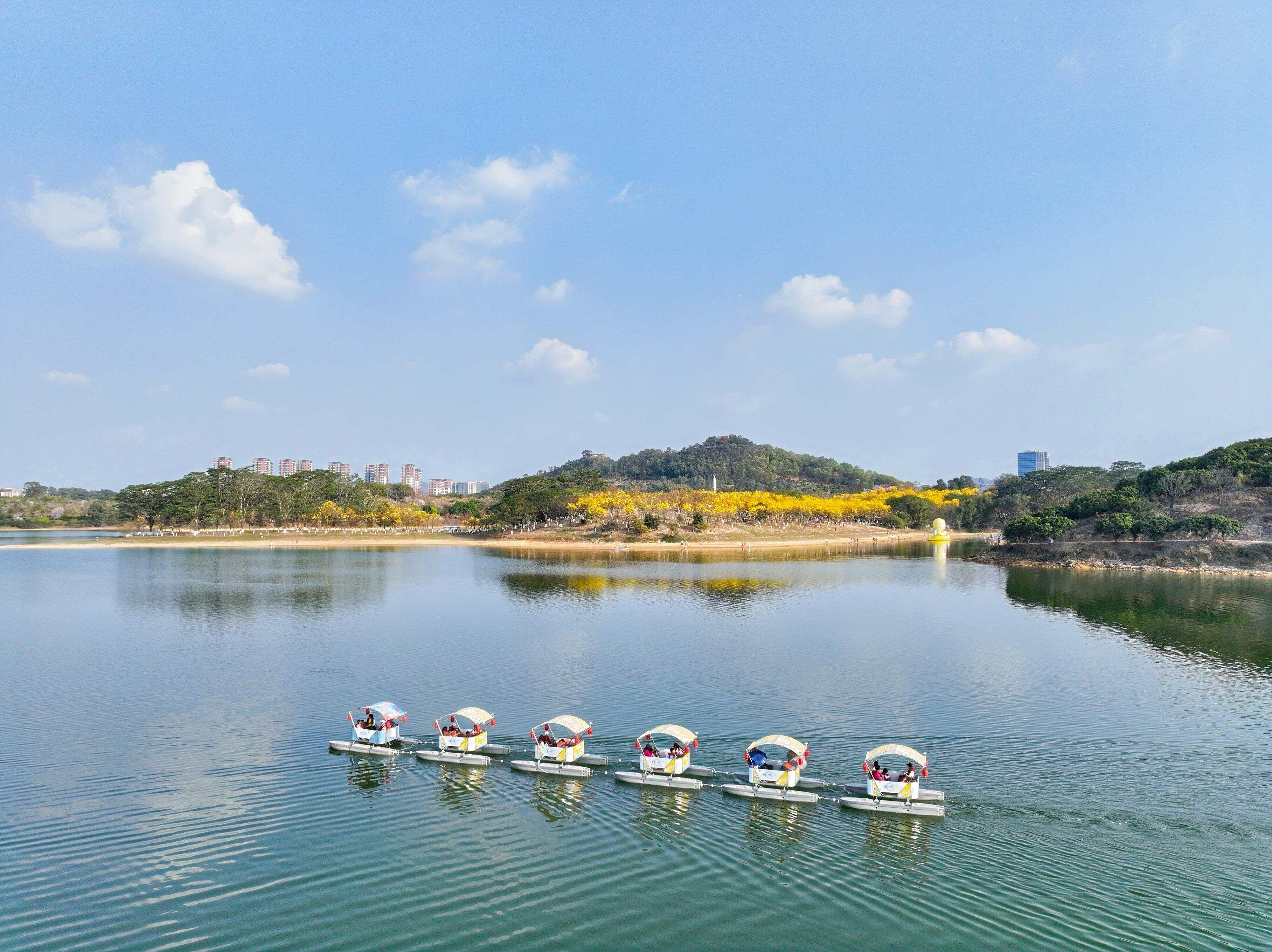 湖上看花 湖上看花