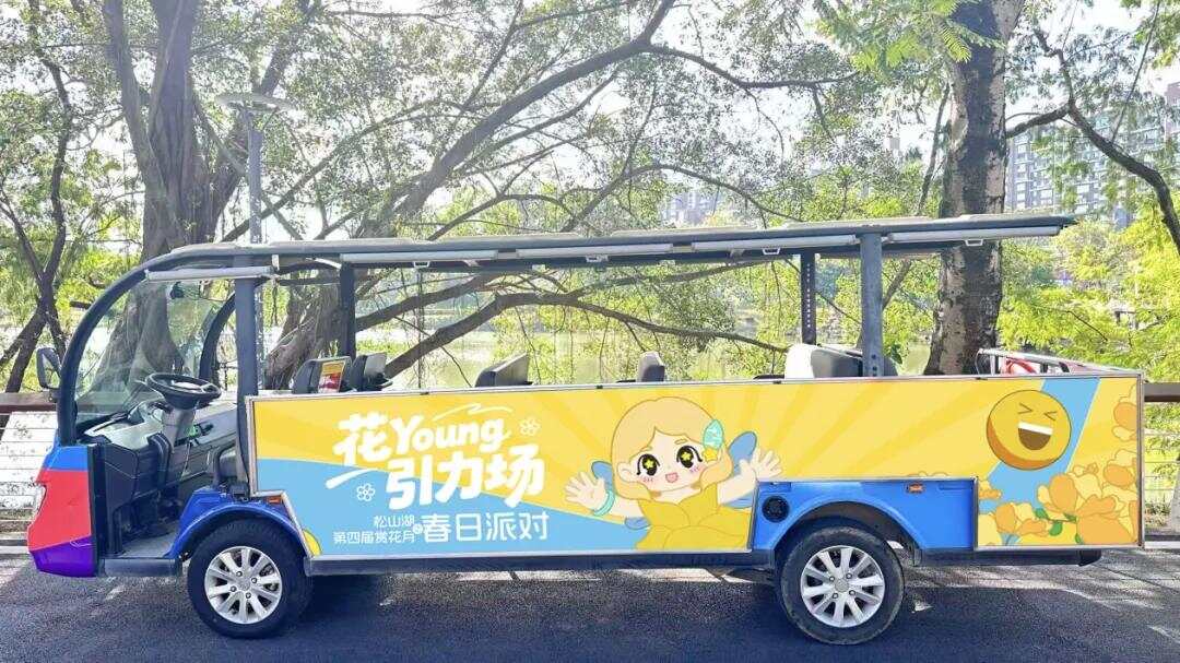 陆地看花 陆地看花