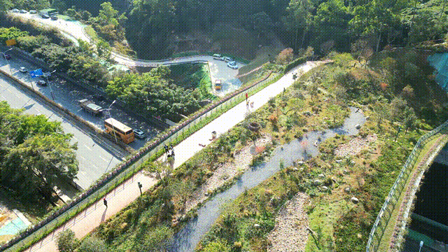 鲲鹏径一号桥 鲲鹏径一号桥