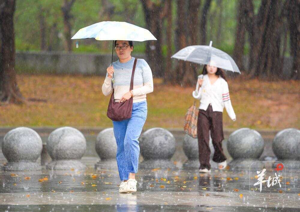 2月28日，广州市区，市民在雨中撑伞出行 梁怿韬 摄