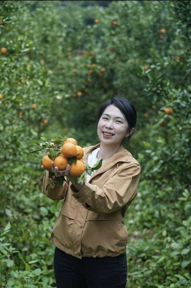 陈慧