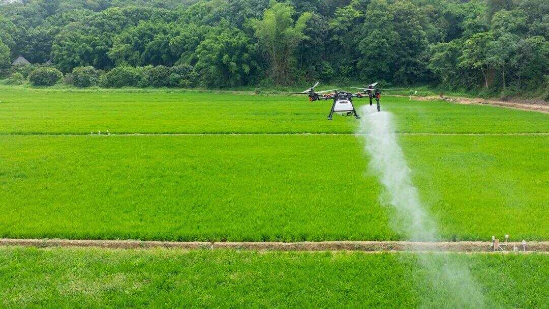 农业无人机绘就都市现代农业新画卷 农业无人机绘就都市现代农业新画卷