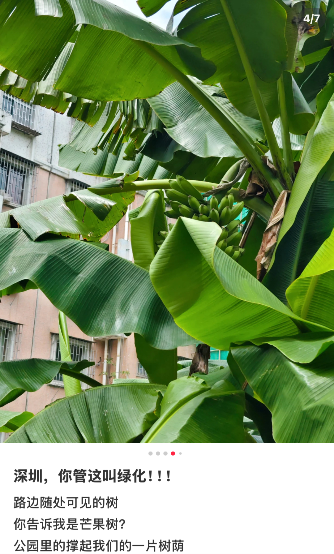 图源：小红书@抹茶椰麻麻