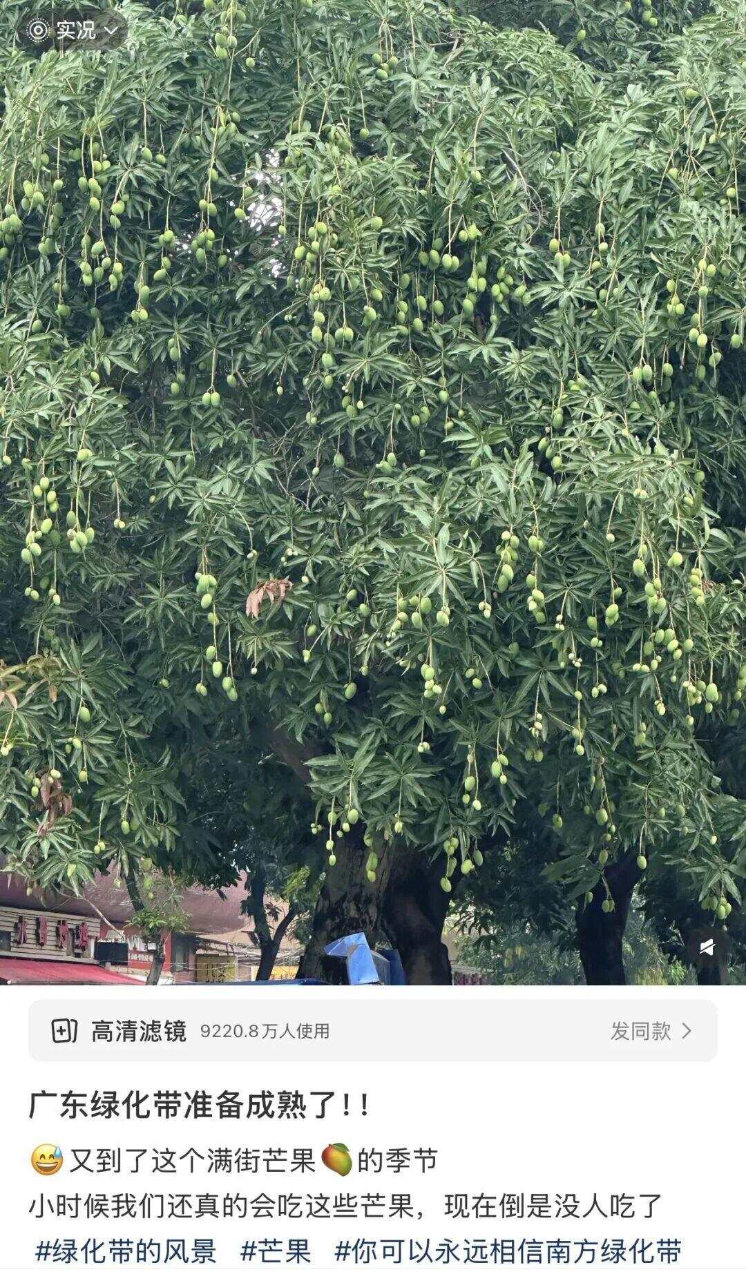 图源：小红书@爆辣小鱼