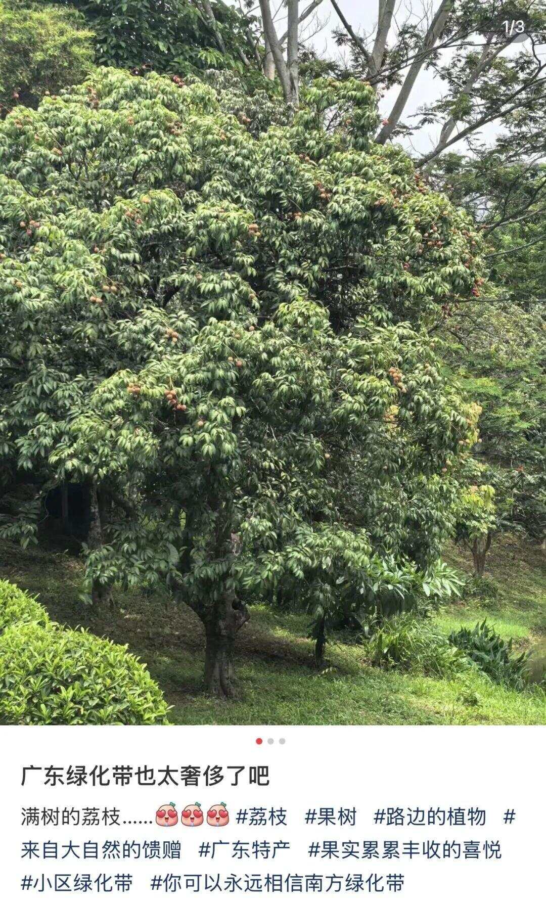 图源：小红书@徐霞客的金创药