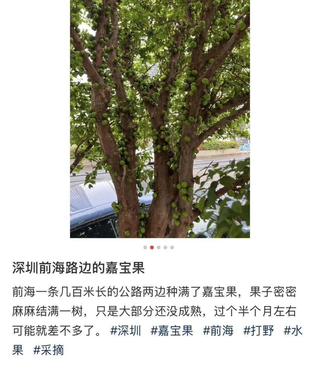 图源：小红书@狗勾不是狗