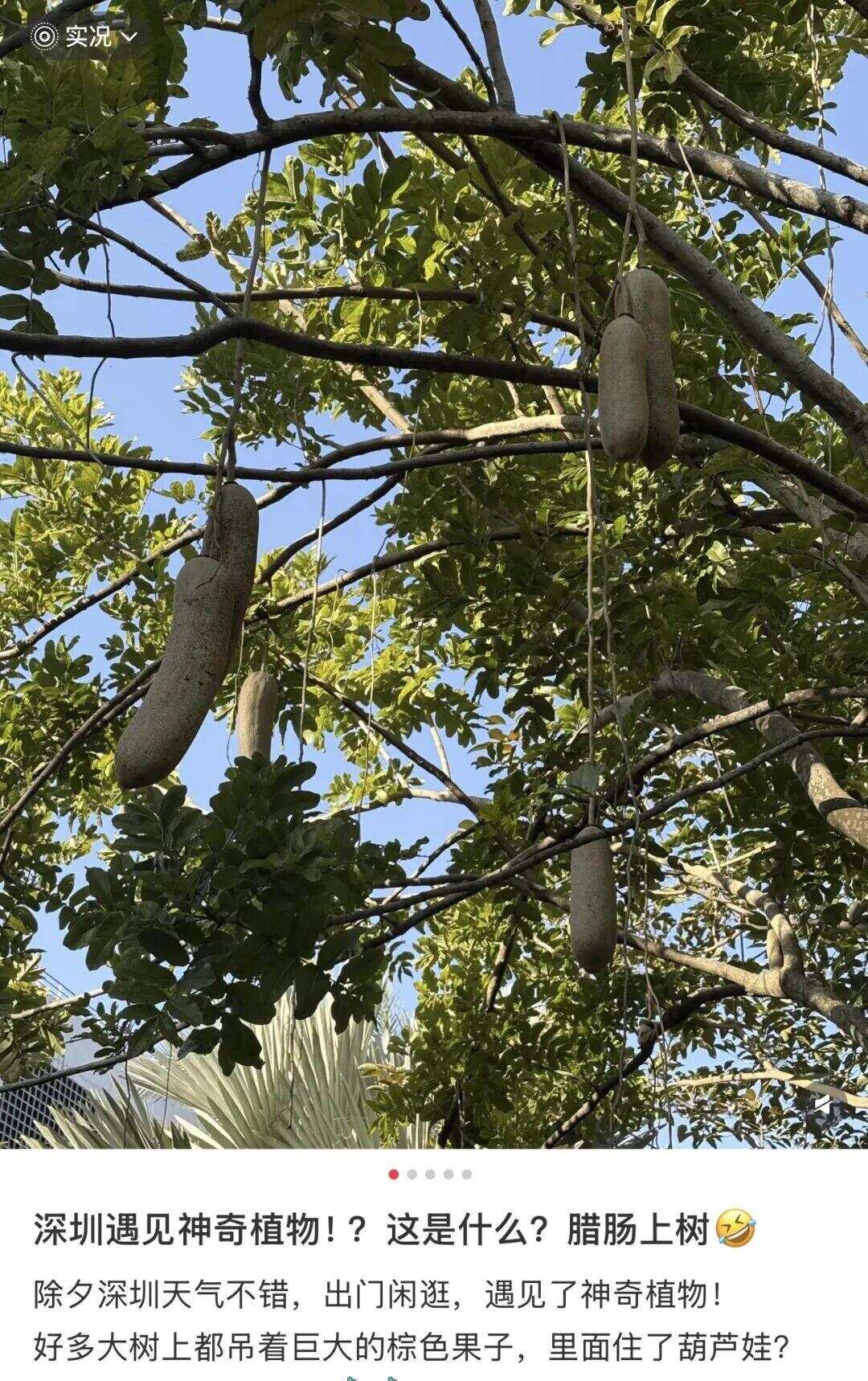 图源：小红书@跳跳蛙哇