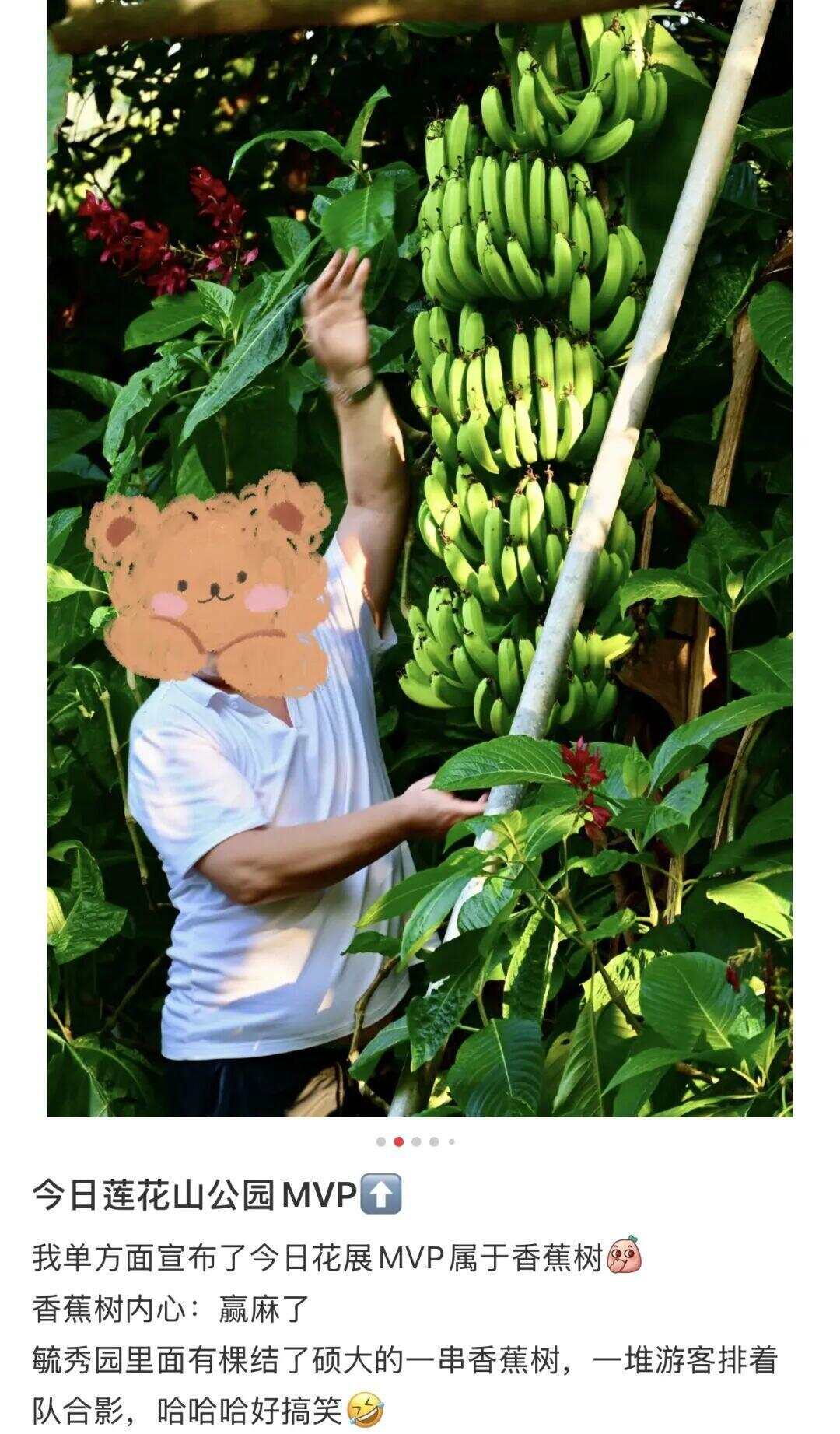 图源：小红书@慢伴拍