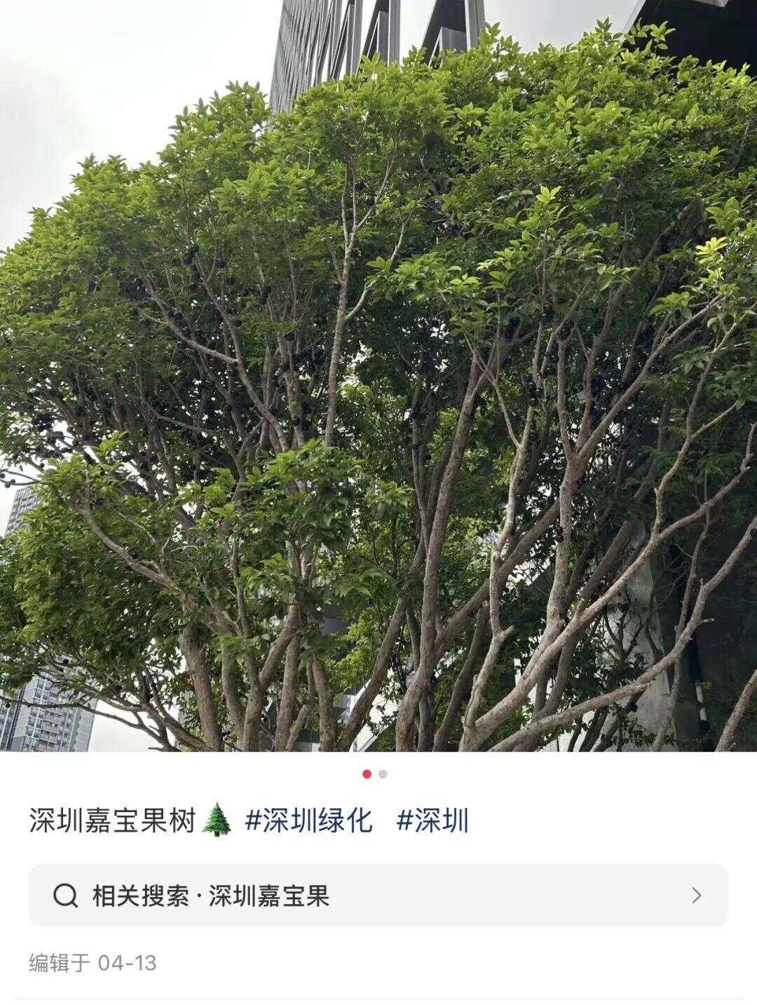 图源：小红书@当代脆皮打工人