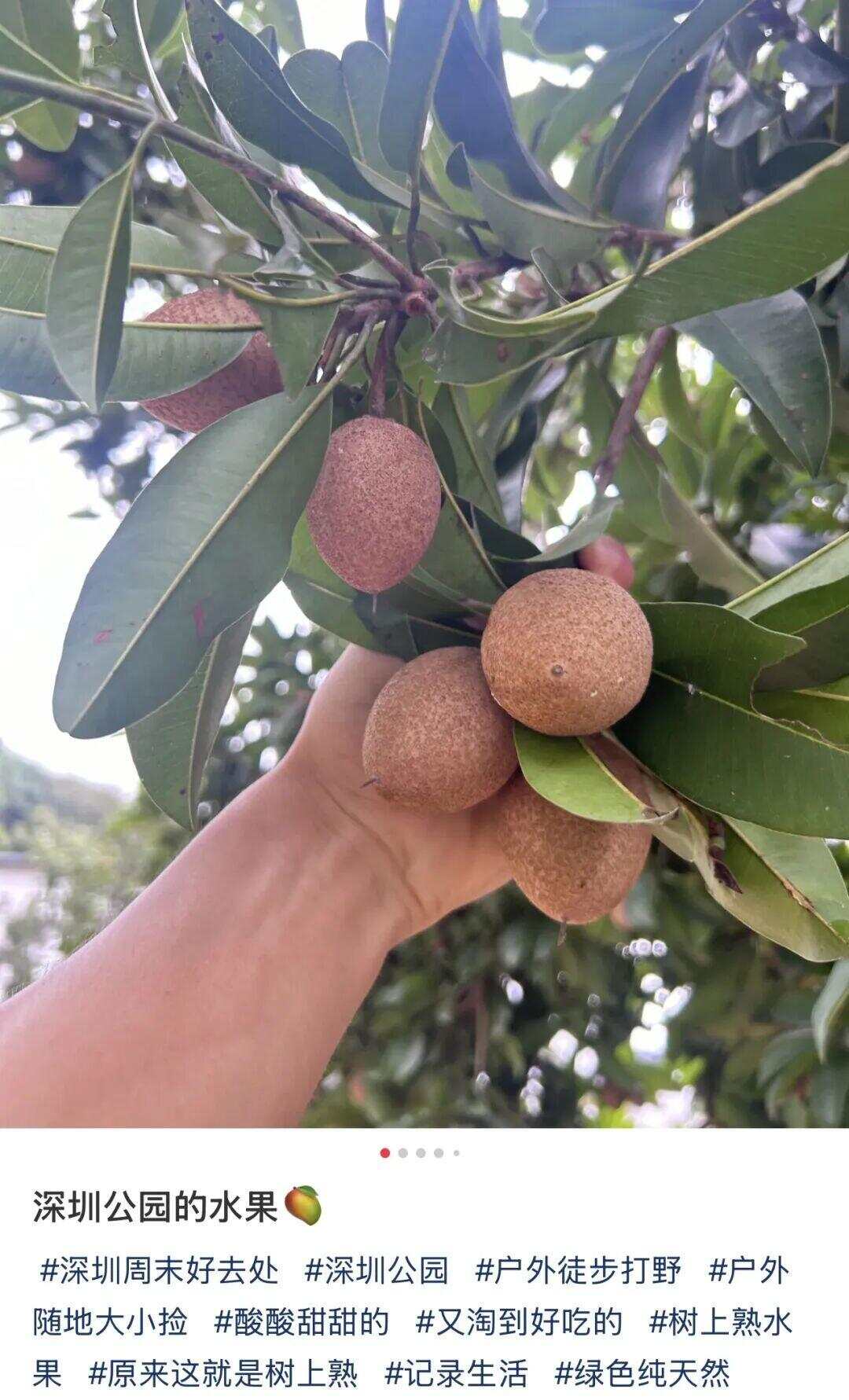 图源：小红书@自由的麻拐