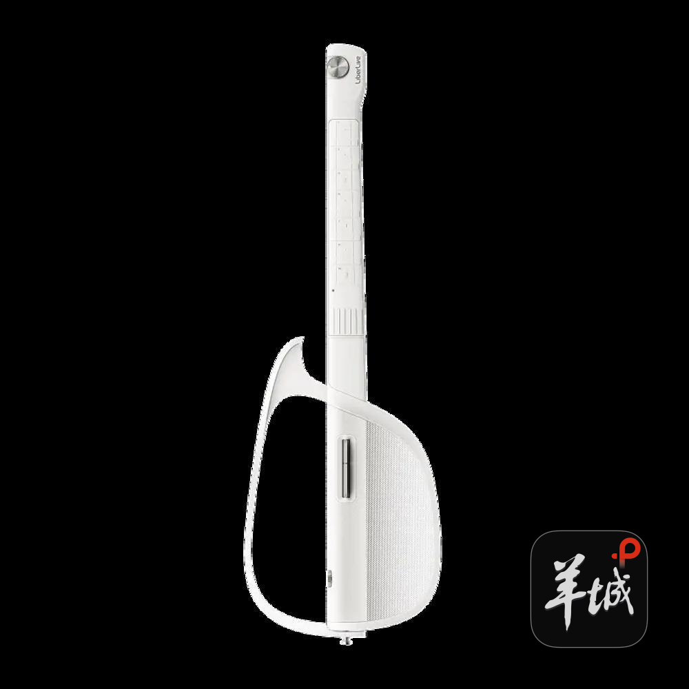Liberlive C2 无弦吉他 受访者提供
