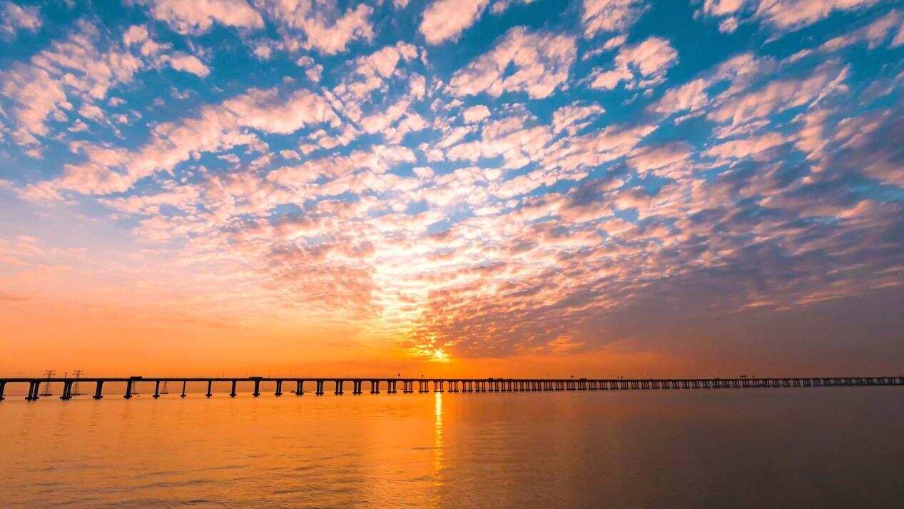 西湾红树林公园