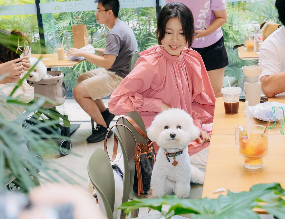 商场“宠物友好”带动消费。受访者供图 商场“宠物友好”带动消费。受访者供图