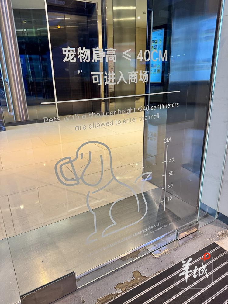 商场为宠物设置“肩高尺” 商场为宠物设置“肩高尺”